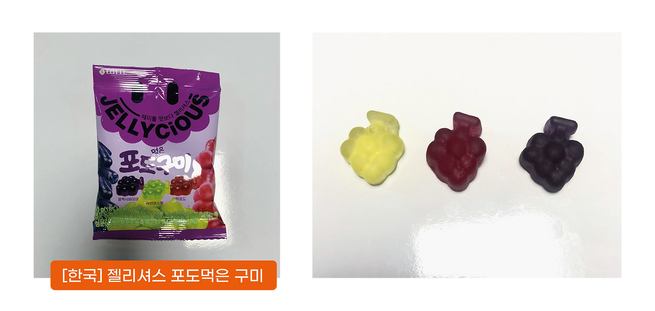 세계 젤리 탐험