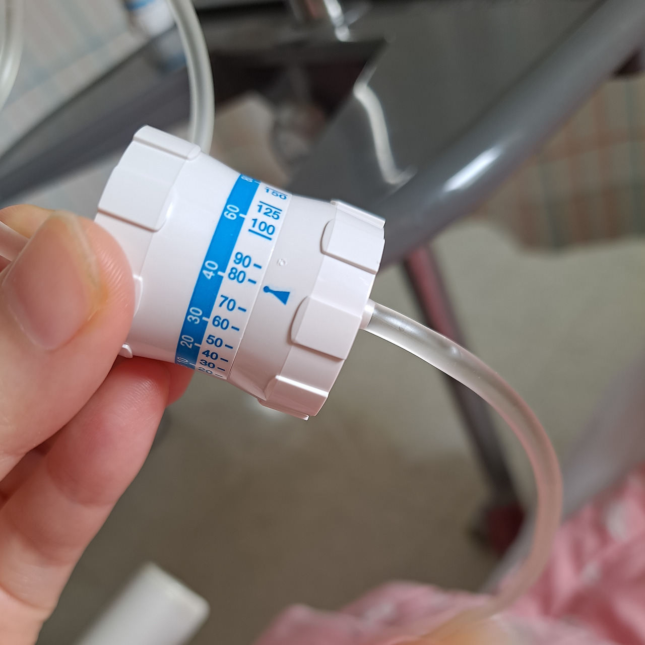 도지가 뭐길래?!