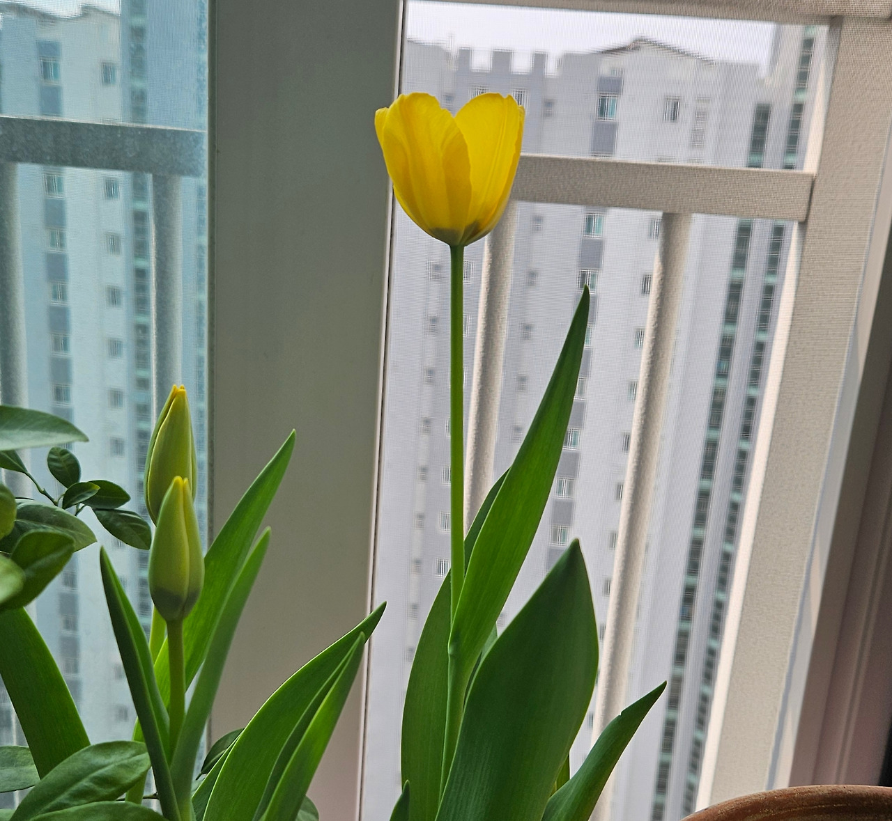 카지노 게임 추천