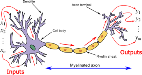 인공신경망 개념(Neural Network)