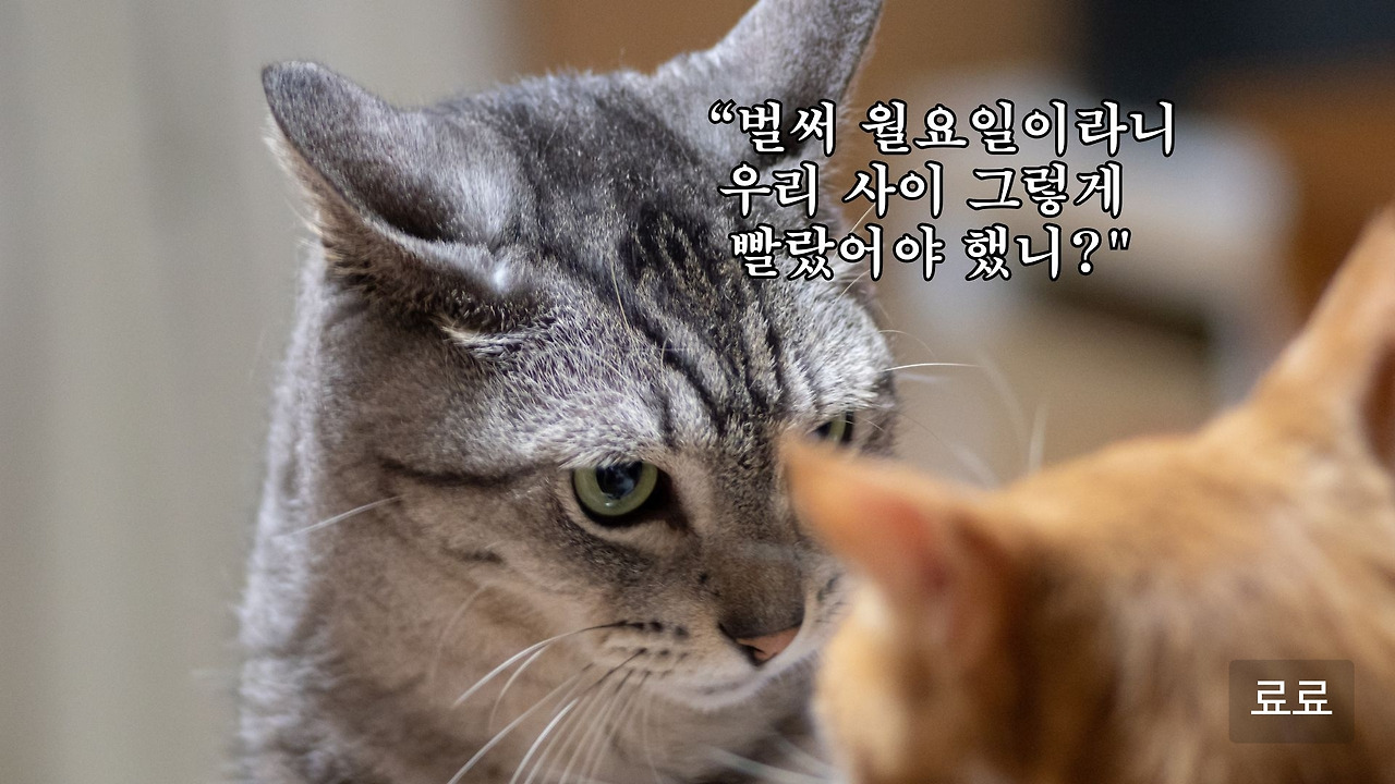 카지노 게임 추천