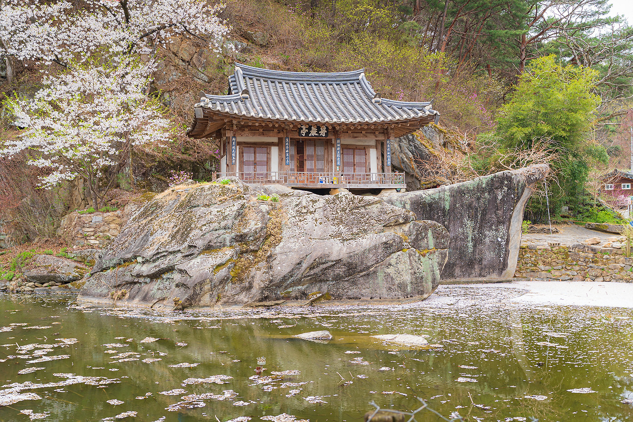카지노 쿠폰