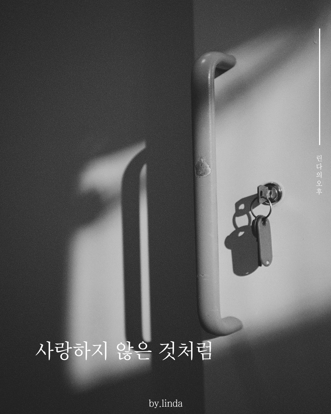카지노 게임 추천