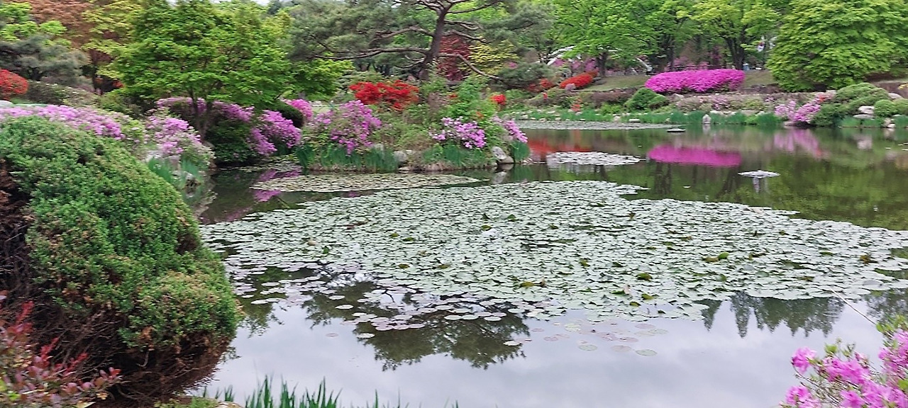 카지노 쿠폰
