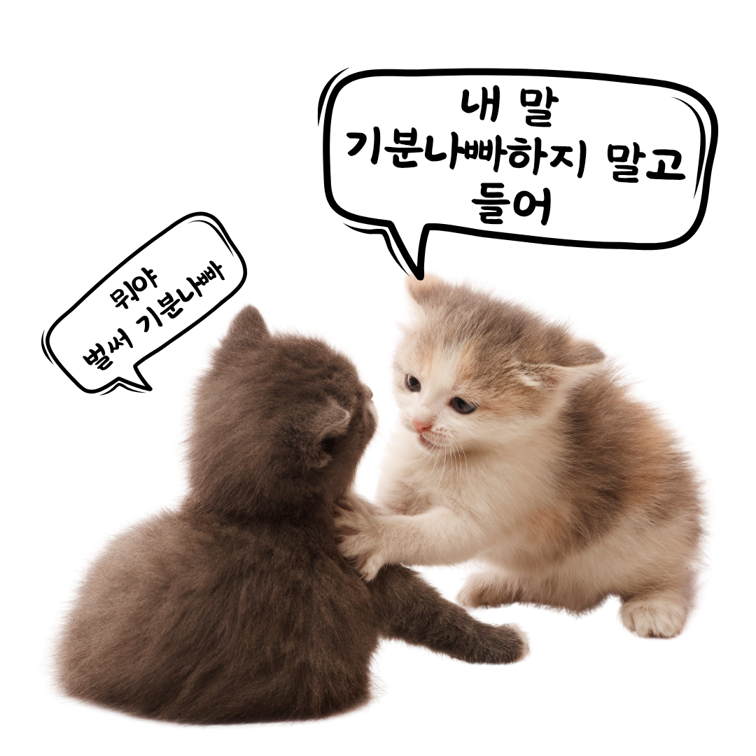 카지노 게임