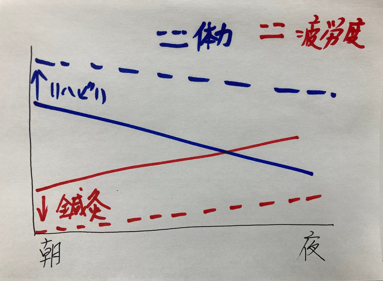 슬롯 무료 사이트