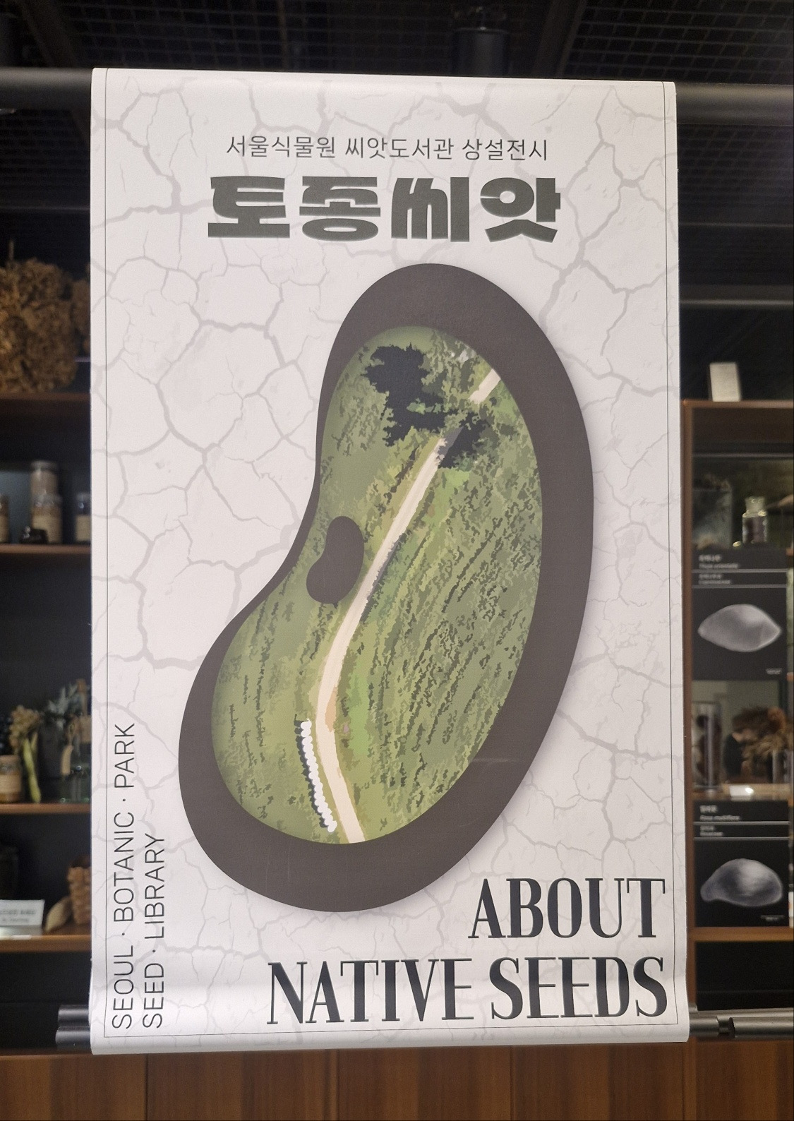 블랙잭 룰