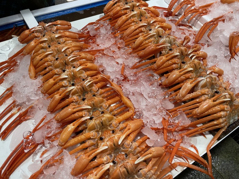 저 오늘 언니들이랑 여행 가요.