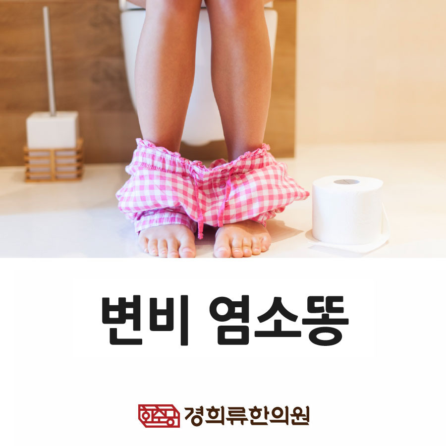 변비 염소똥, 토끼똥 증상