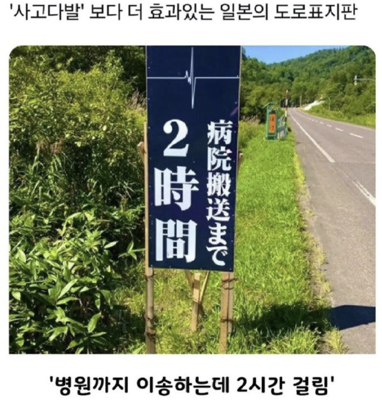 슬롯사이트 소닉 메이저