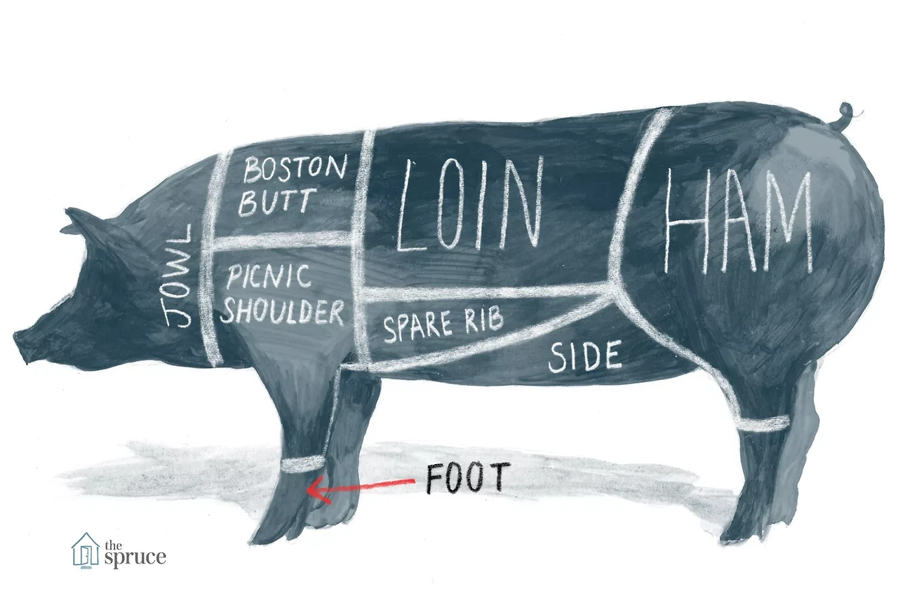 미국 돼지고기 부위: 돼지 도표 및 돼지고기 차트