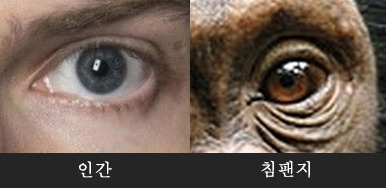 카지노 게임 추천
