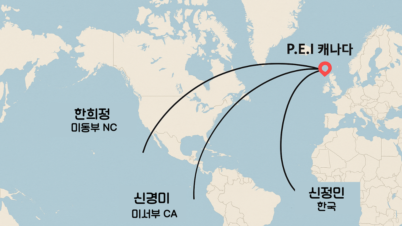 무료 카지노 게임