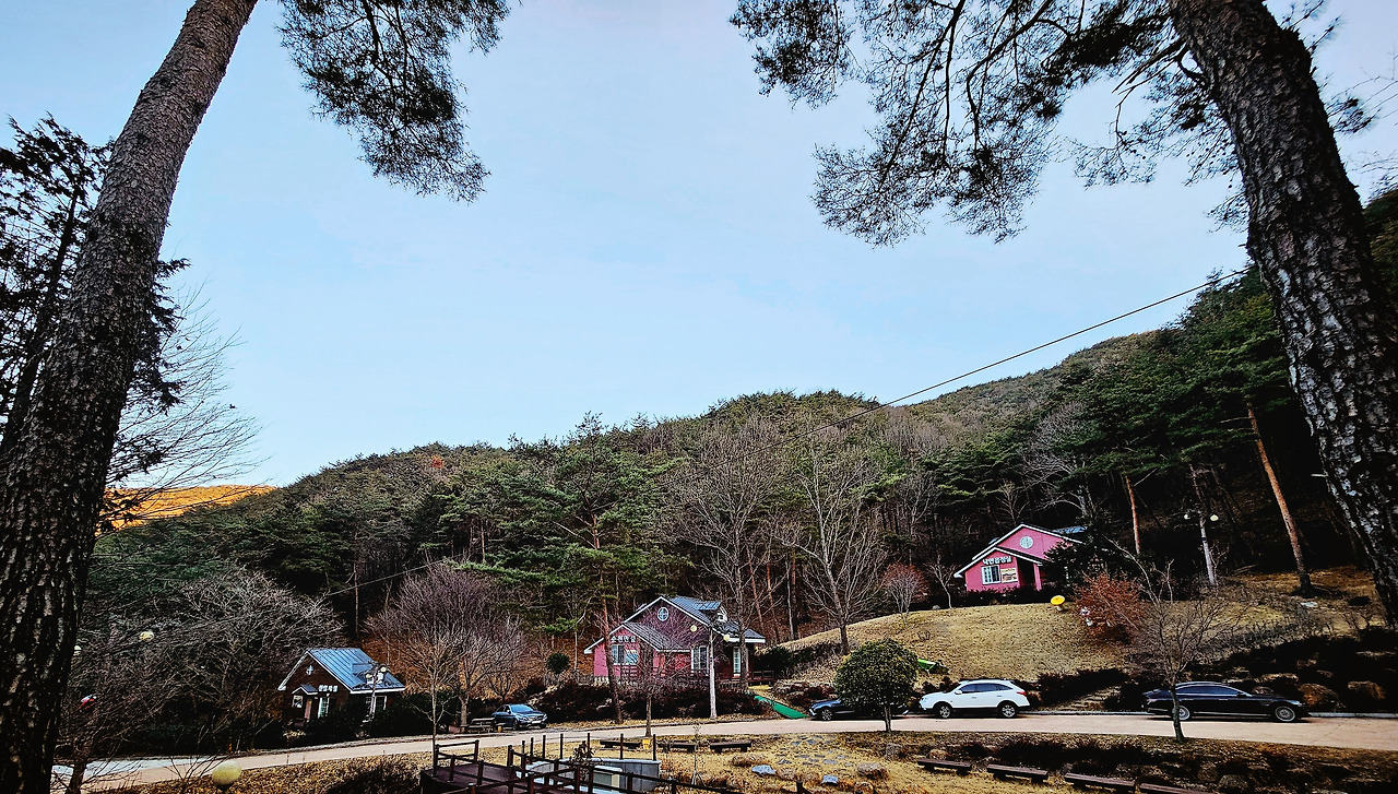순천자연휴양림 이미지