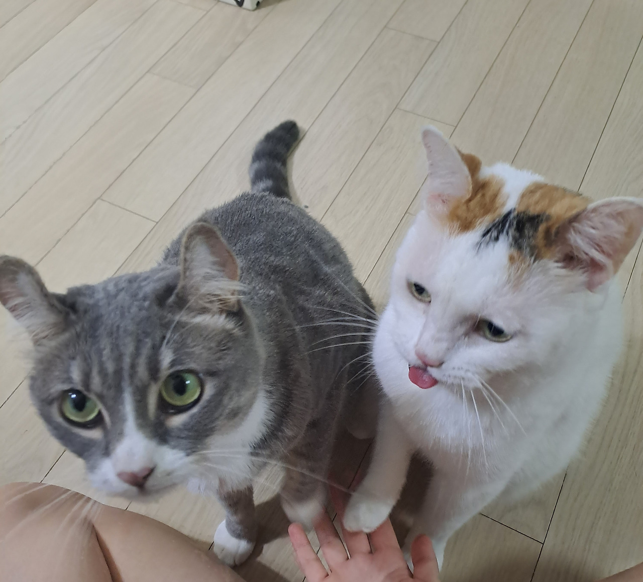 카지노 게임 추천