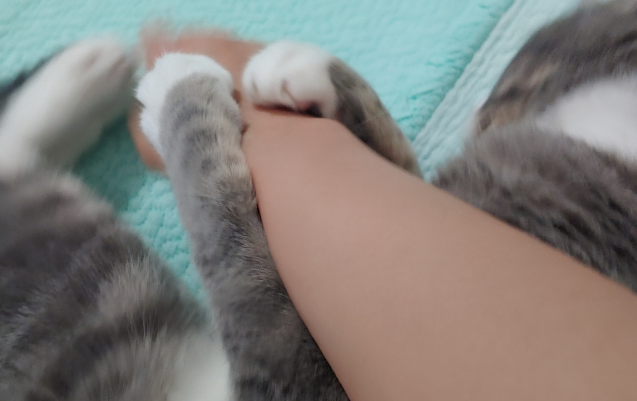 카지노 게임 사이트