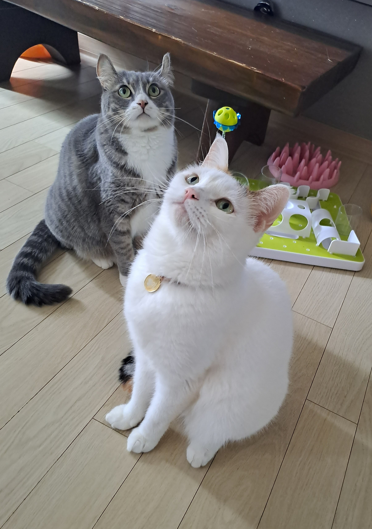 무료 카지노 게임