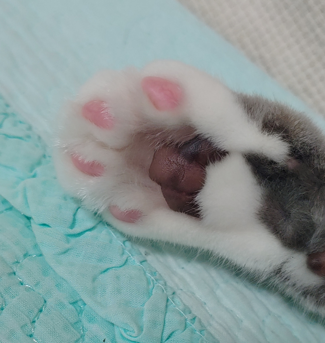 카지노 게임 사이트