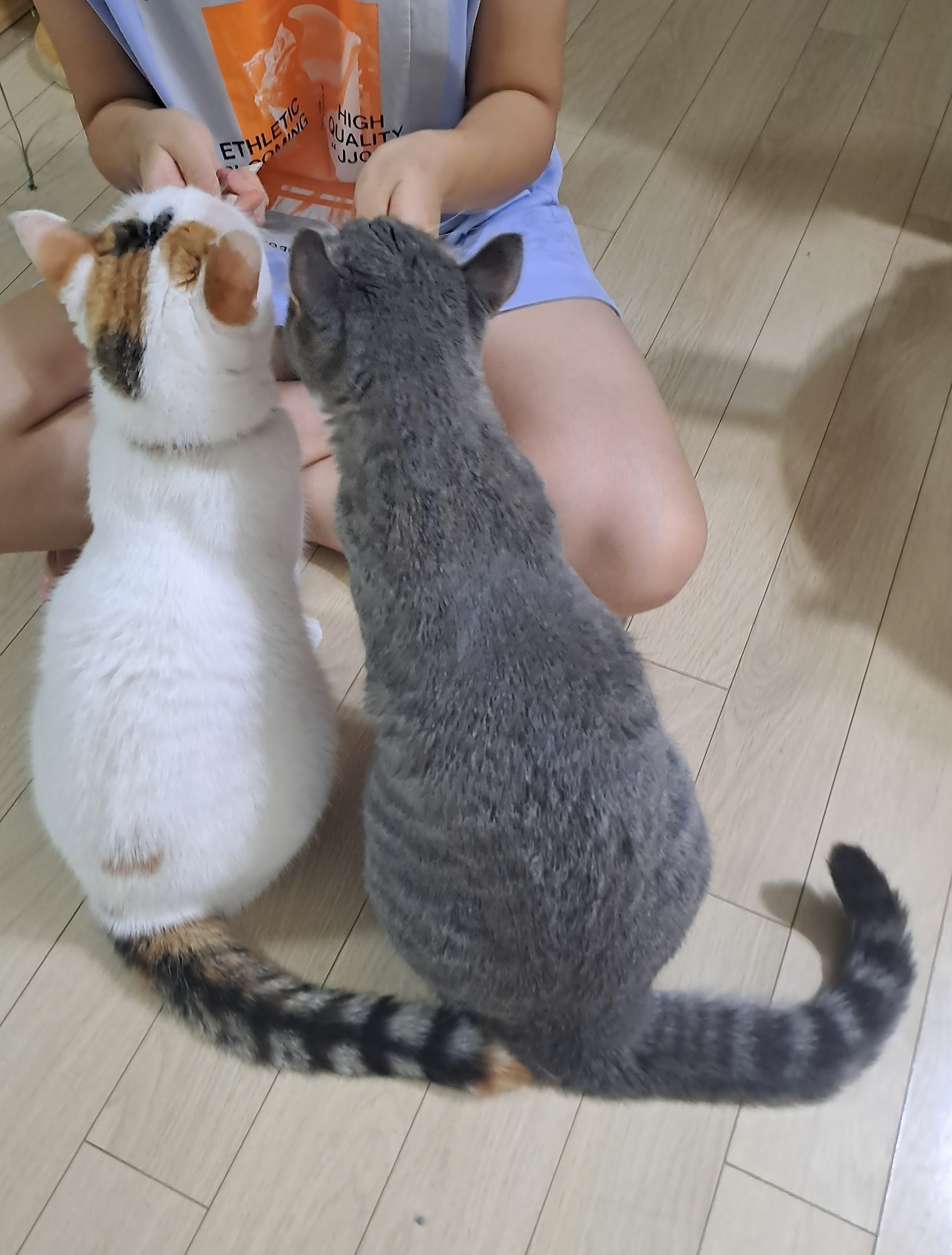 카지노 게임 추천