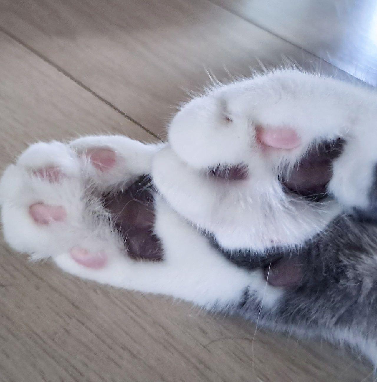 카지노 게임