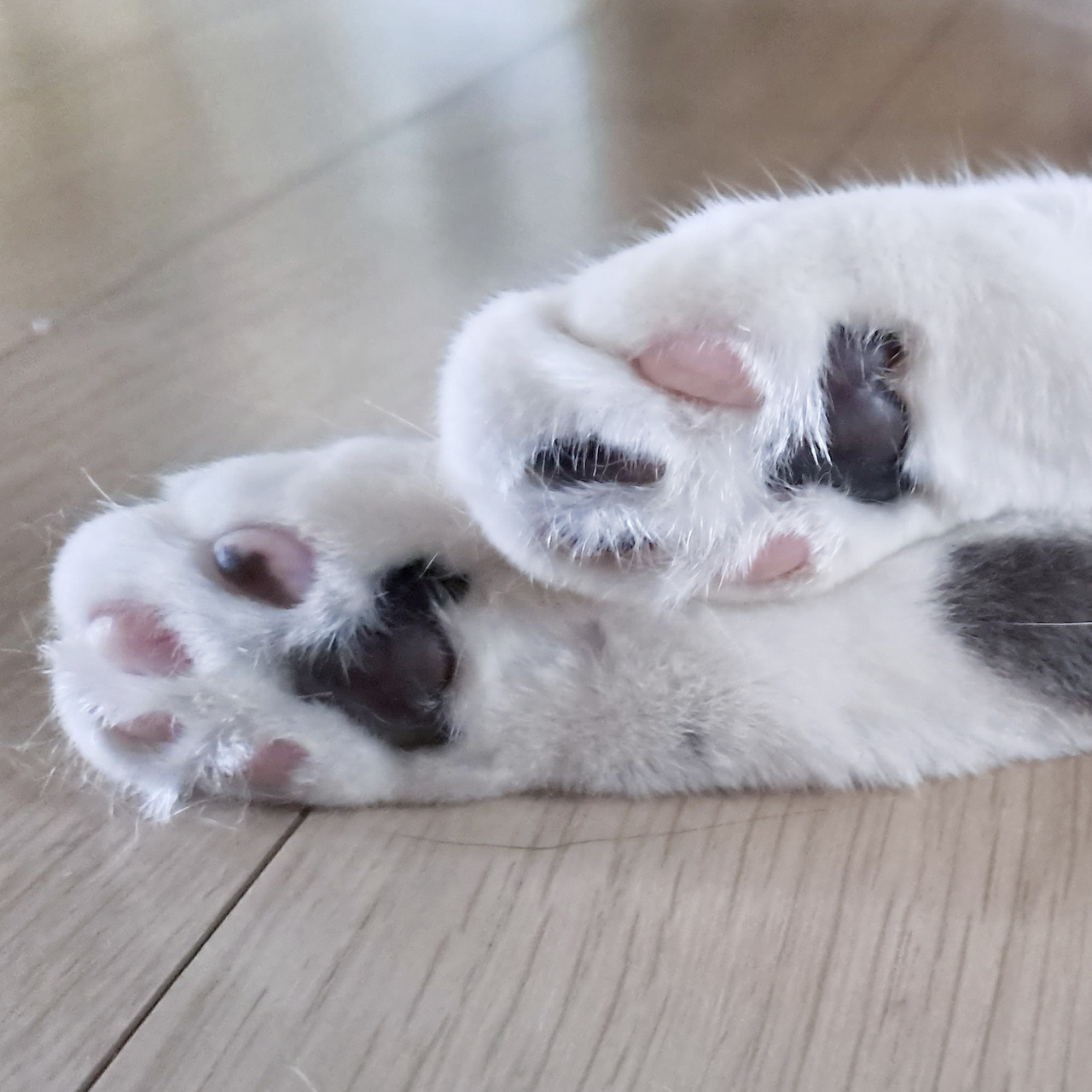 카지노 게임