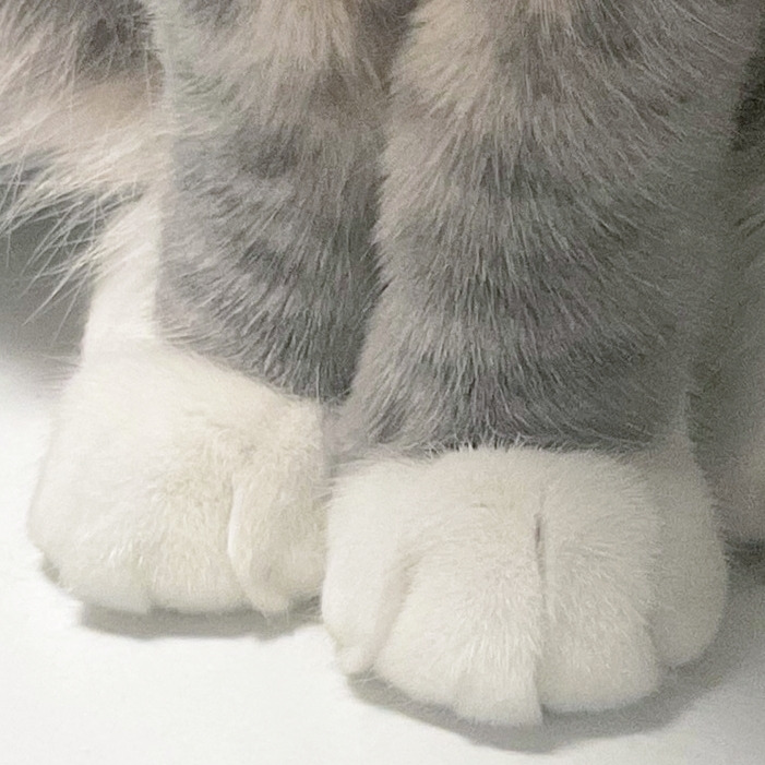 카지노 게임