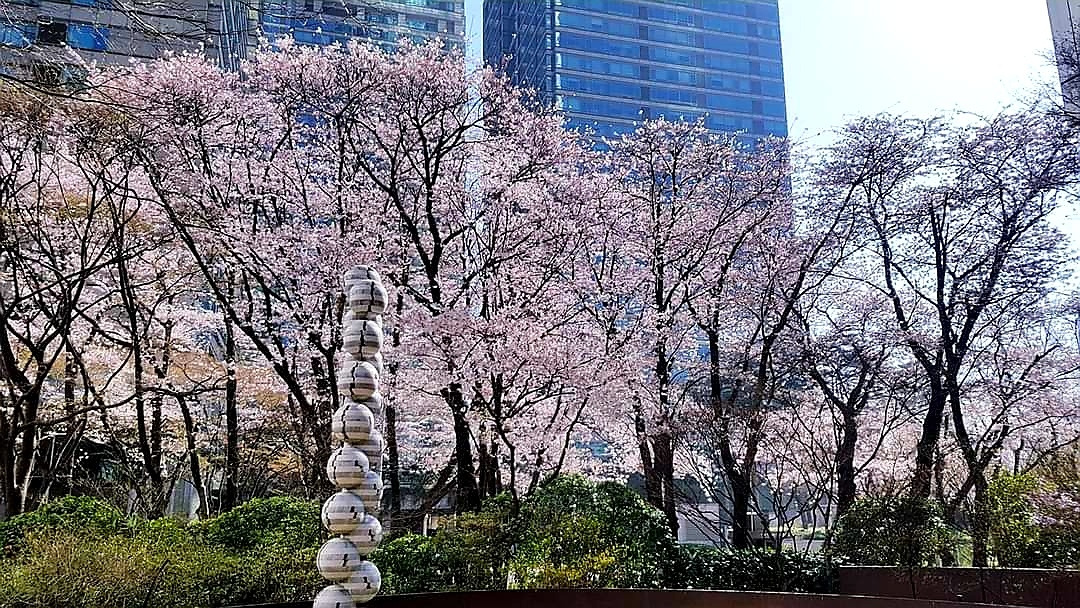 온라인 카지노 게임