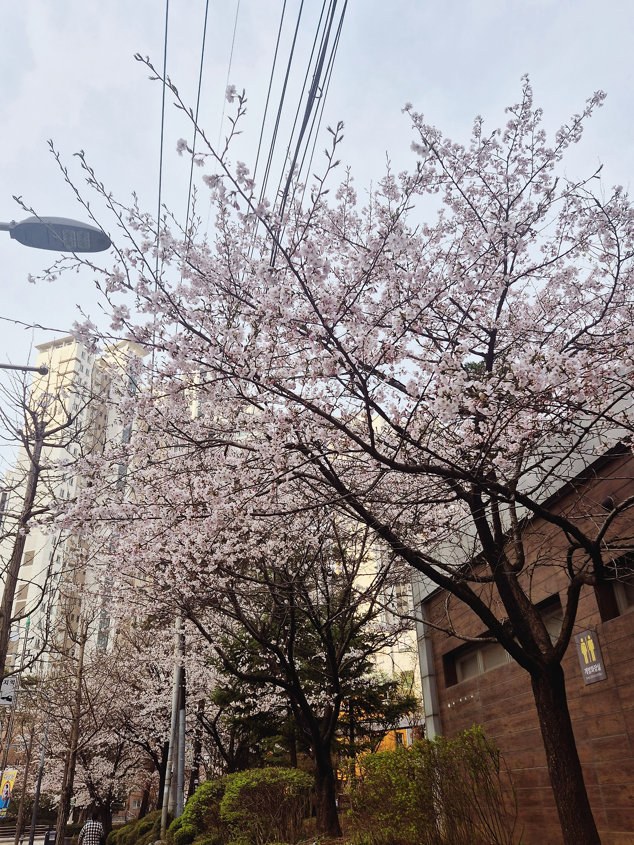 무료 카지노 게임