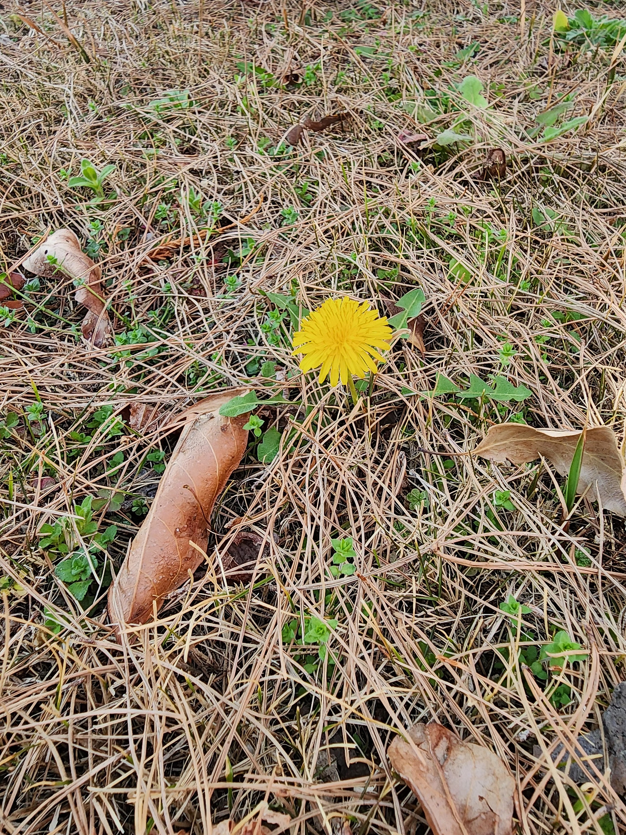 카지노 게임 사이트