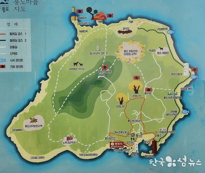 서해 외딴 섬, 봄 야생화의 천국...안산 풍도
