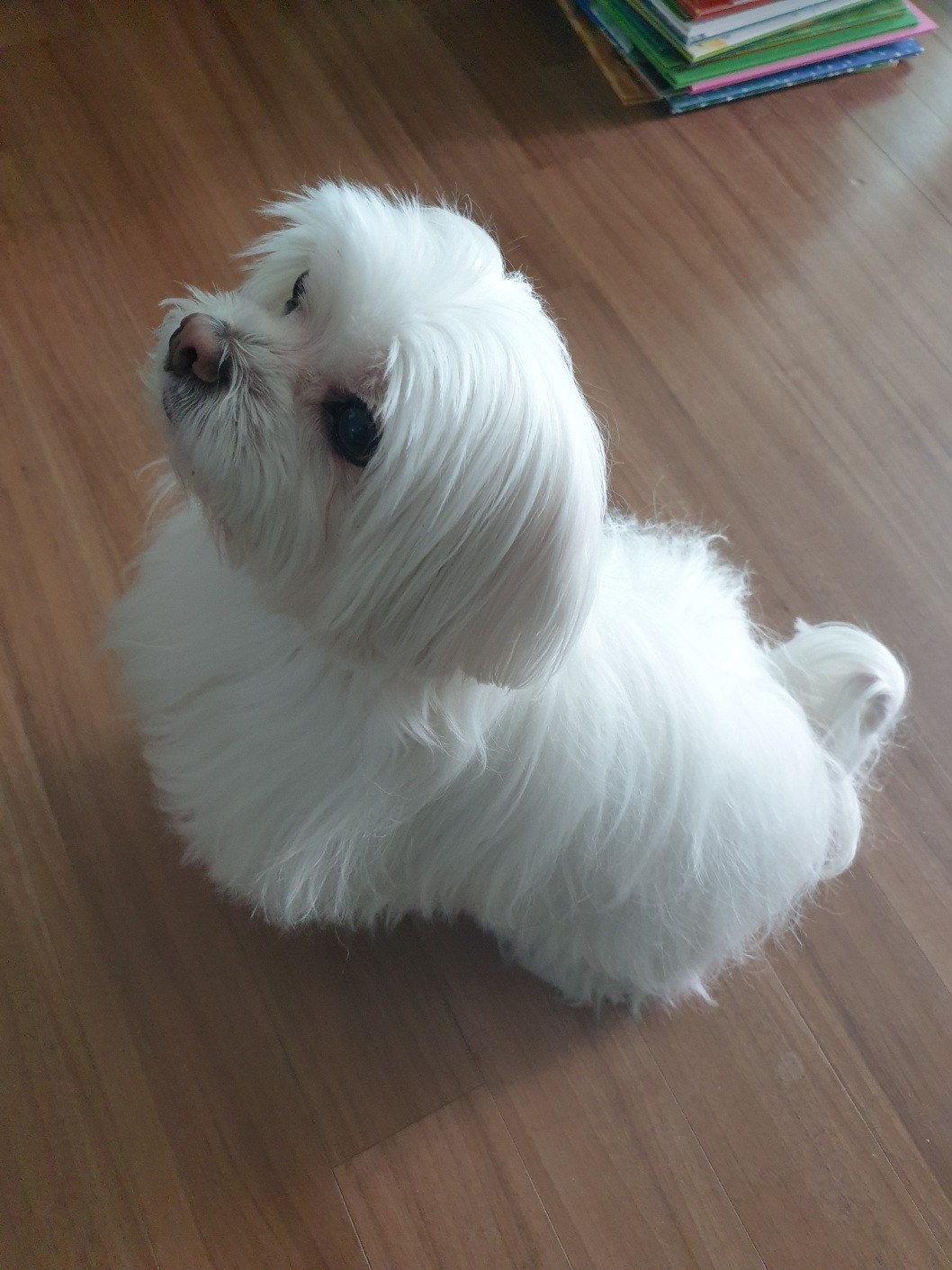무료 카지노 게임