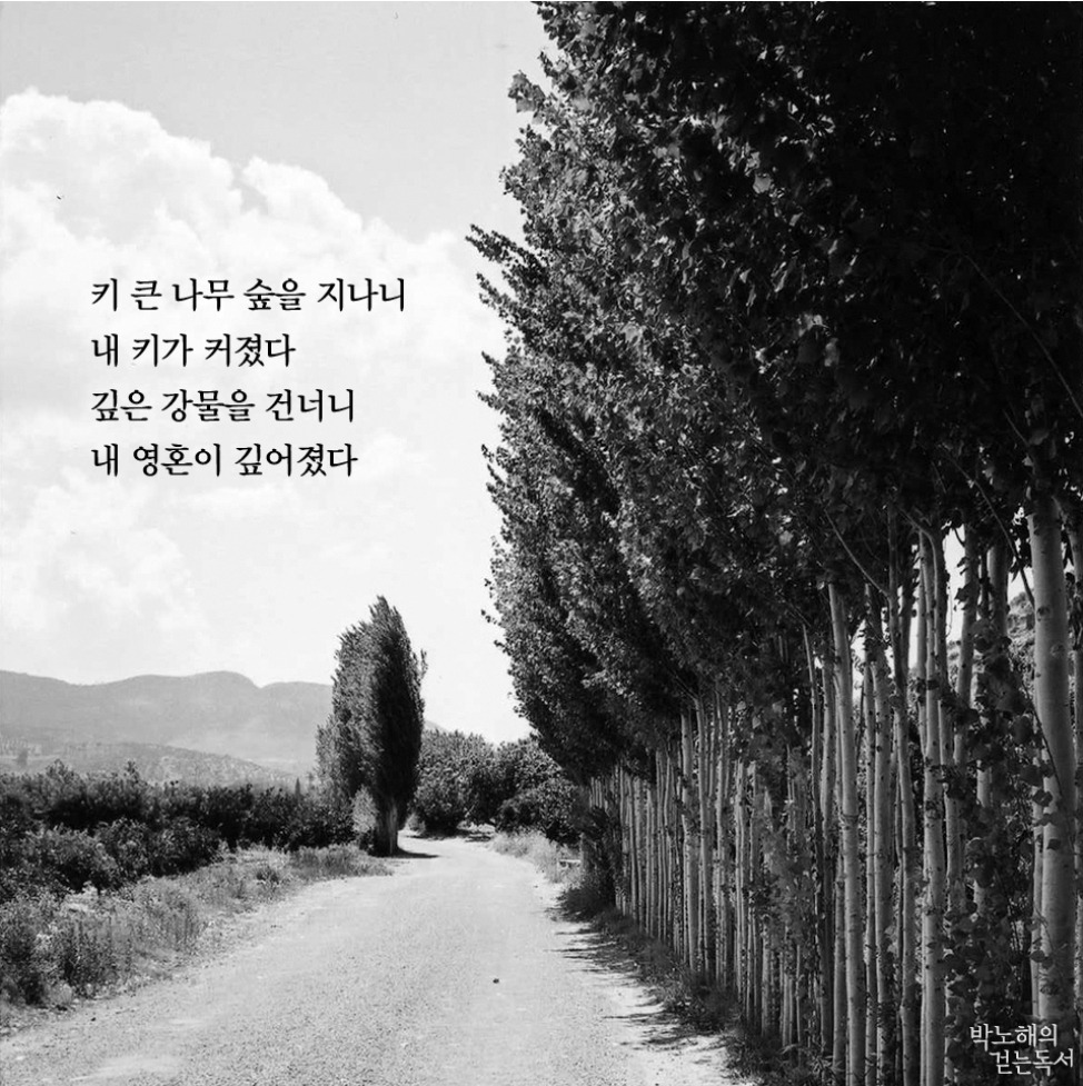 카지노 게임 추천