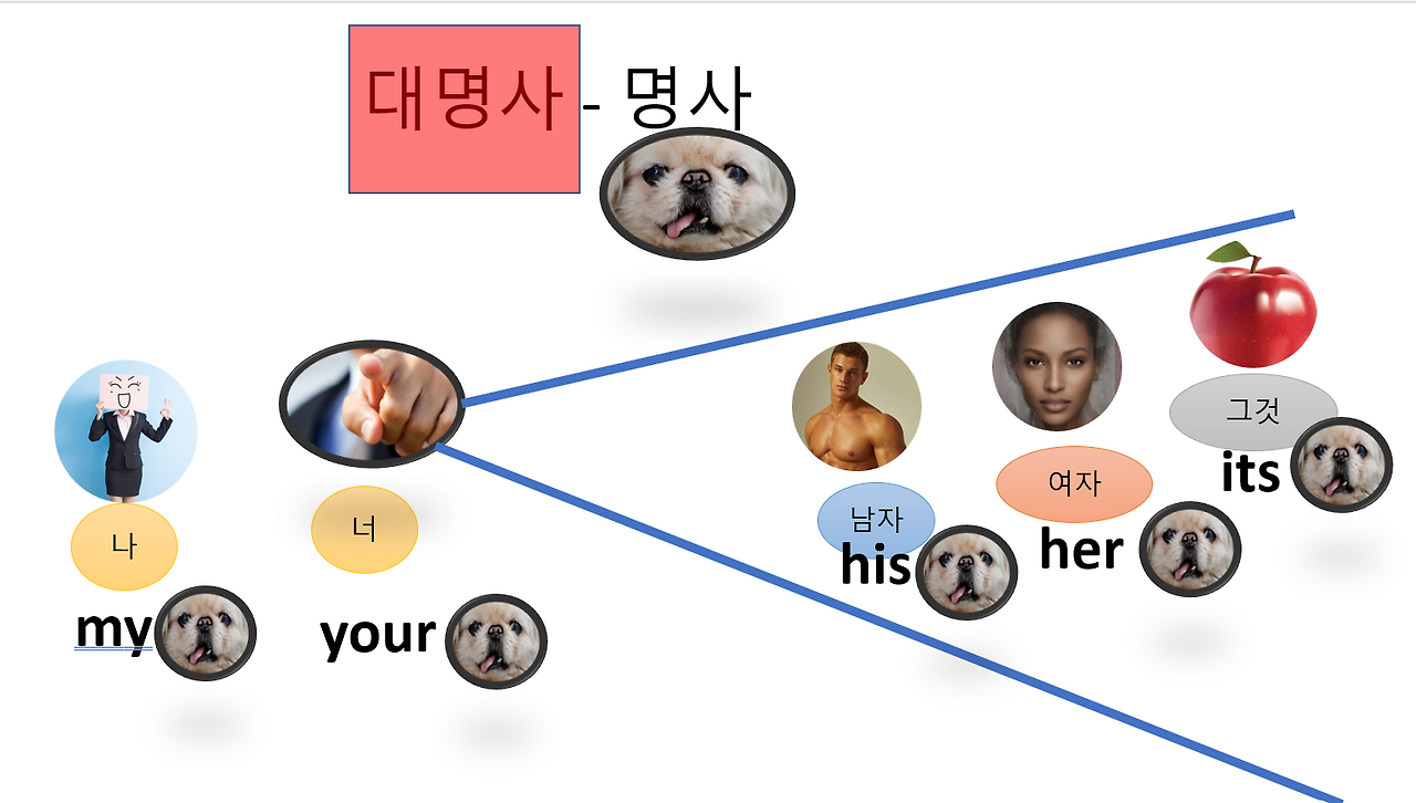 세상의 모든 것을 분리하고 대신하는 대명사
