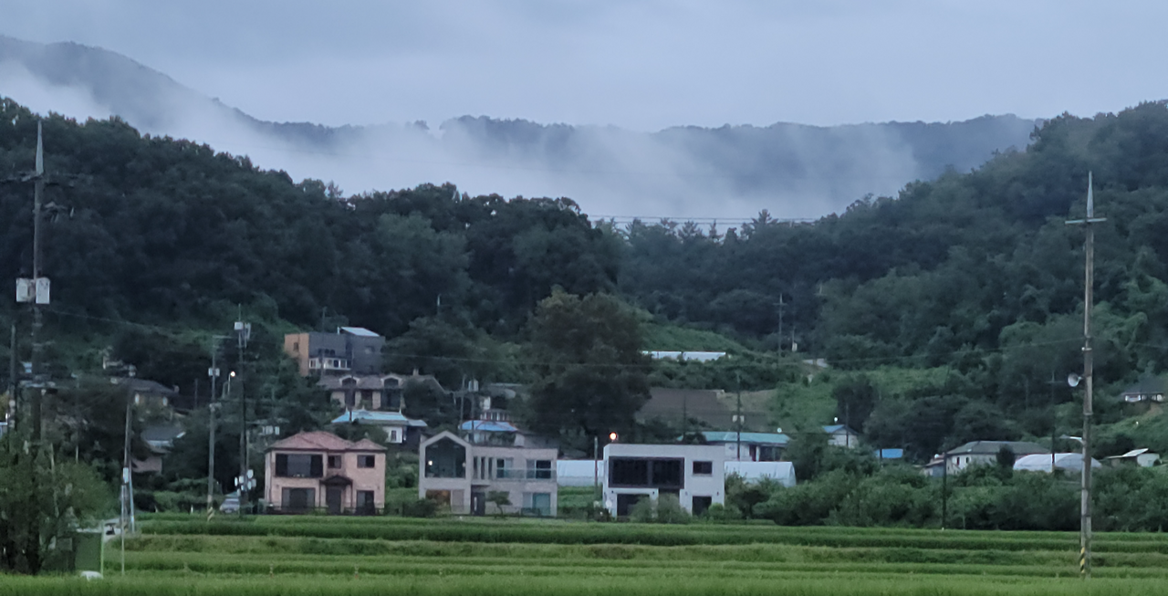 무료 카지노 게임