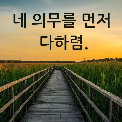 카지노 쿠폰