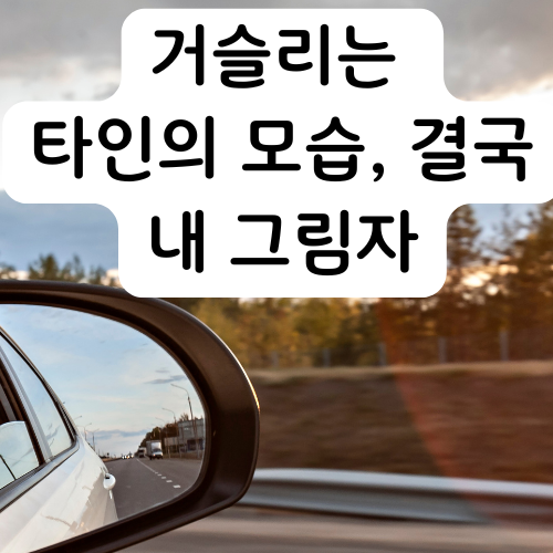 에볼루션 카지노 사이트