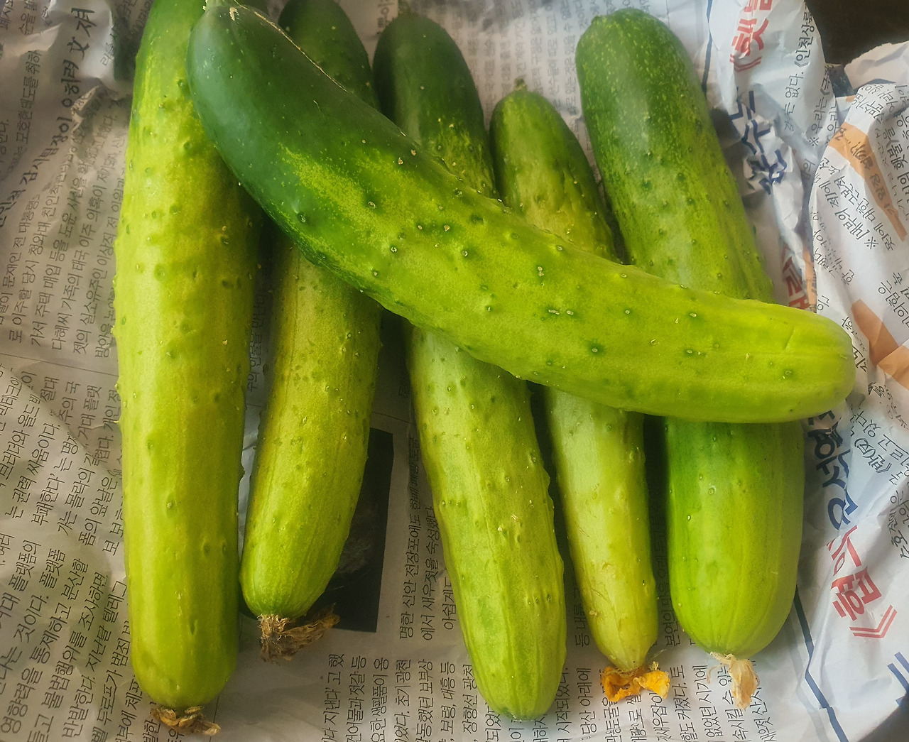 카지노 게임
