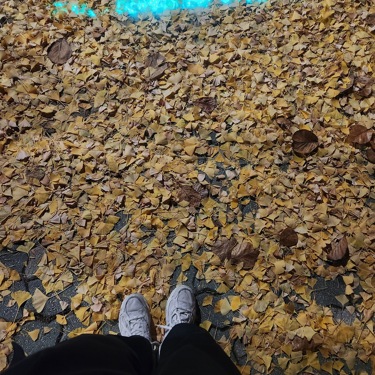 카지노 가입 쿠폰