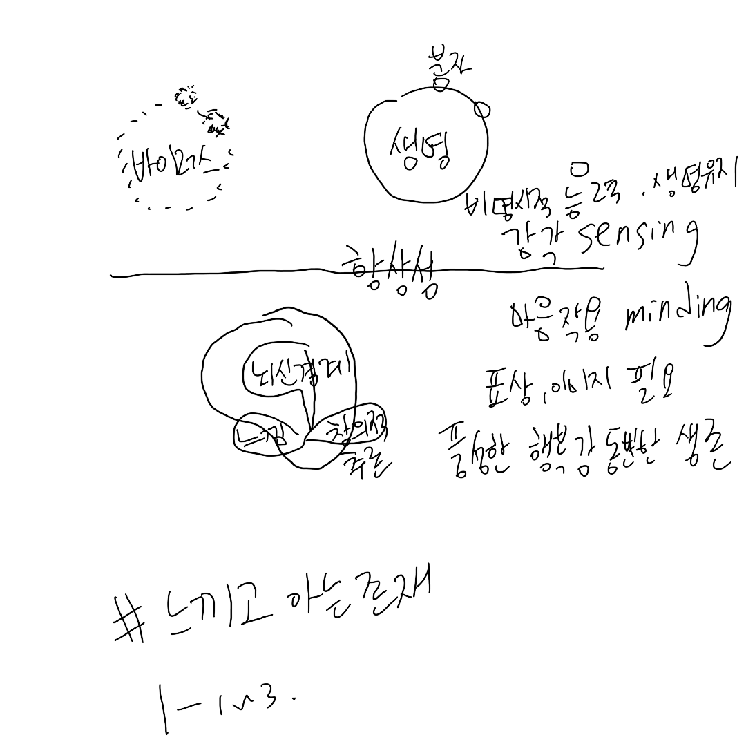 카지노 쿠폰