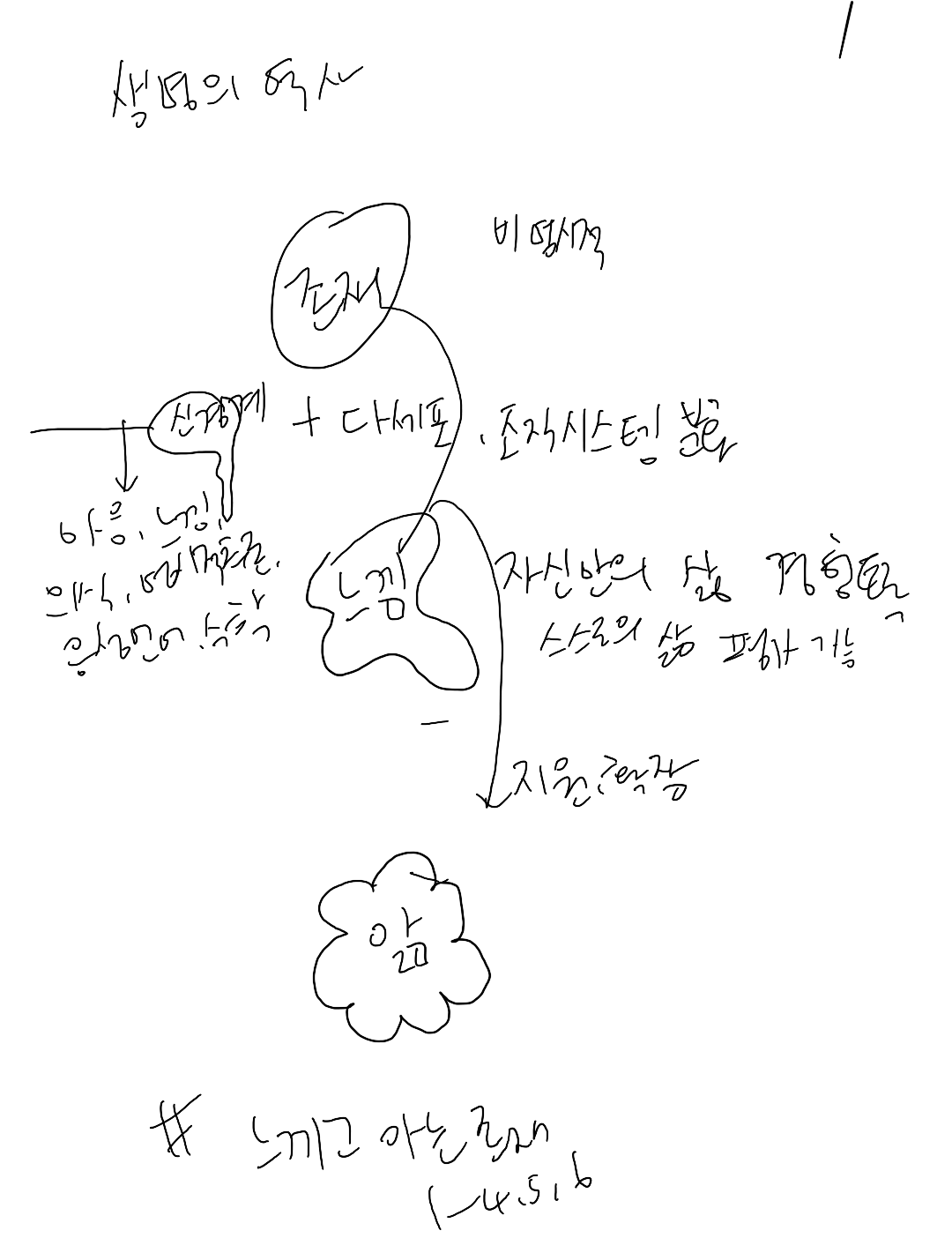 온라인 카지노 게임