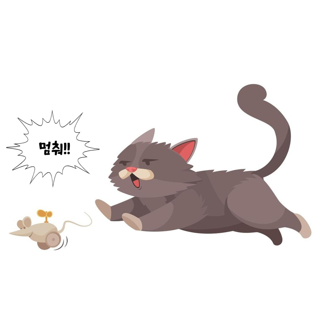 카지노 게임