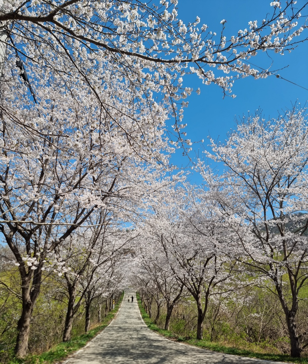 카지노 쿠폰