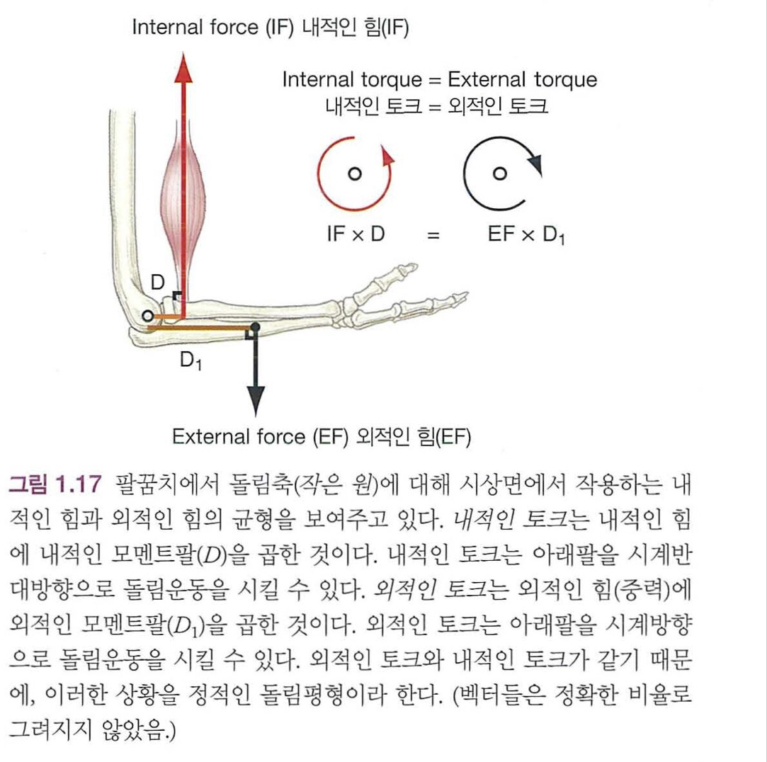 14화 근육뼈대의 토크(외적인 토크)