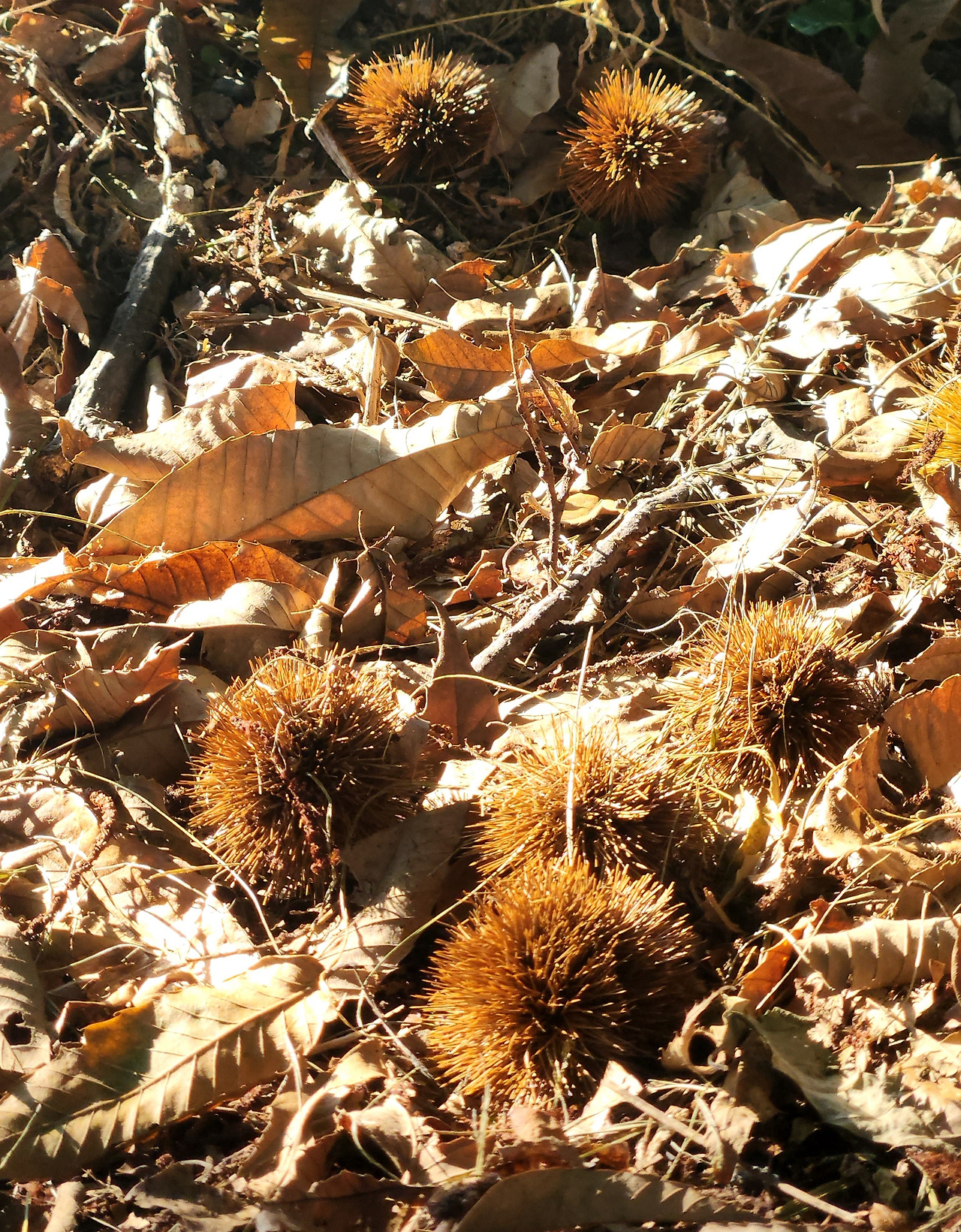 06화 산밤 06화  산밤