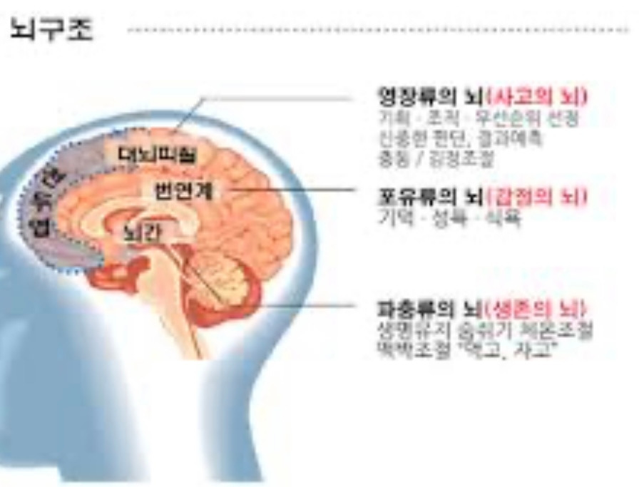 03화 사회적인 뇌 치료 3
