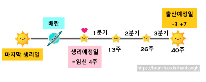 임신학개론 Ch2: 임신 잘 되는날, 임신확률 높은날