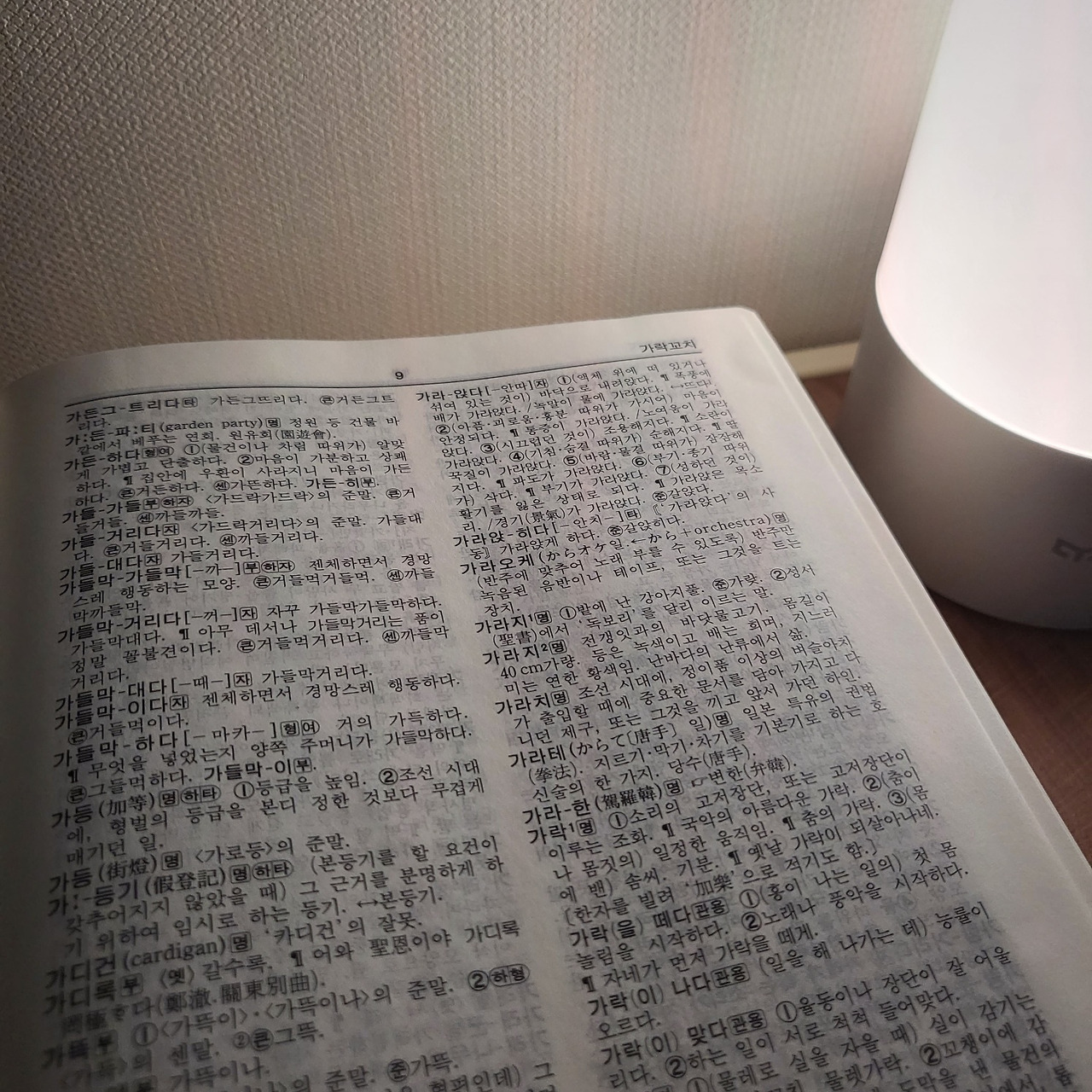 [국어사전]으로 글을 씁니다.