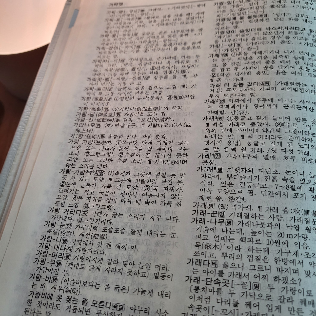 [국어사전]으로 글을 씁니다.