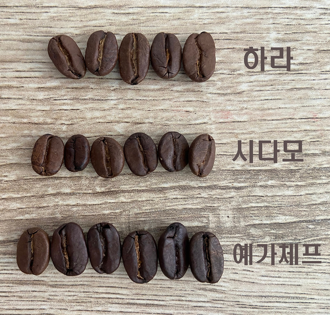 07화 에티오피아 커피의 모든 것, 에티오피아 커피원두 종류?