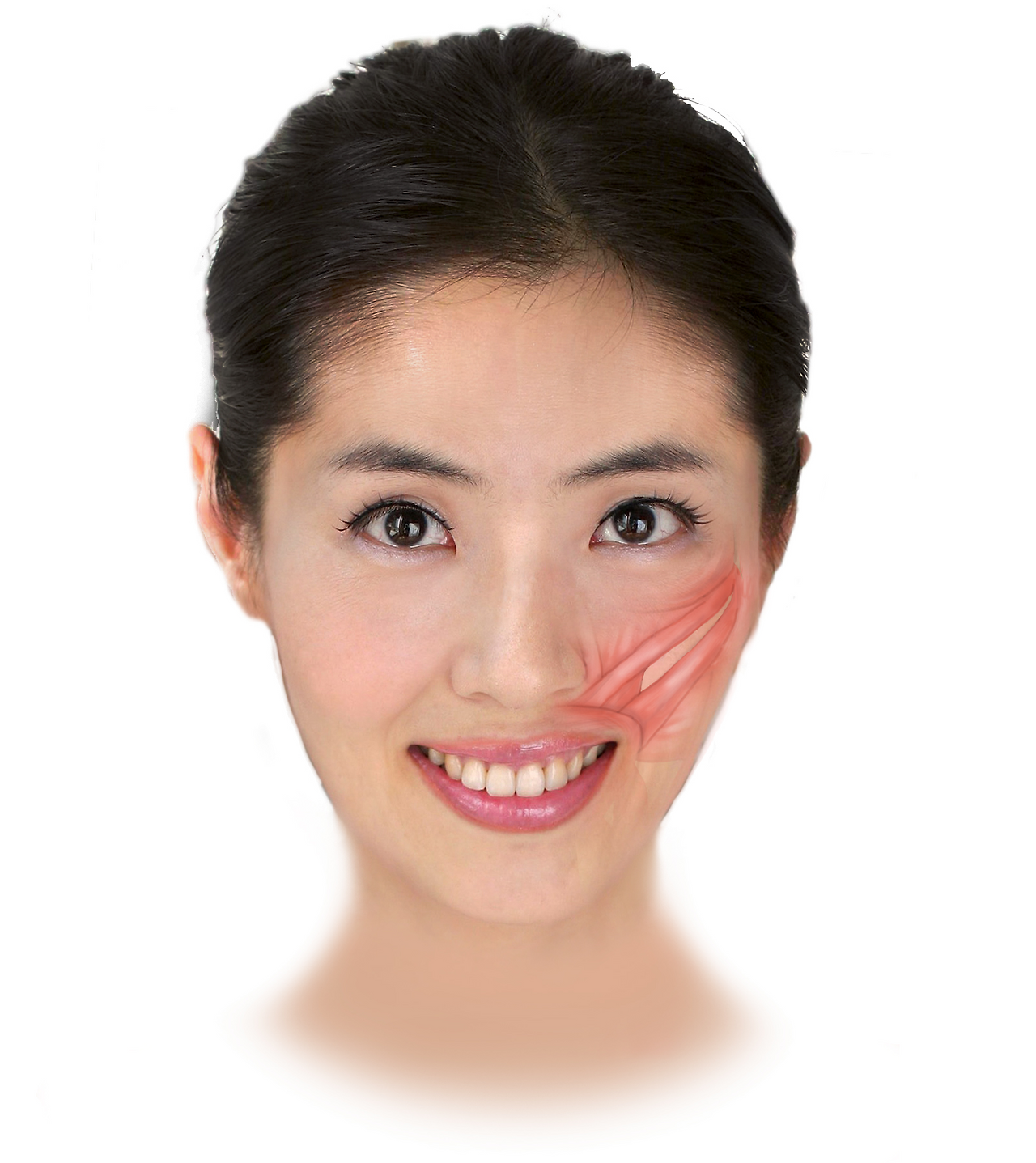 천사의 실수로 인간에게 남겨진 신의 흔적